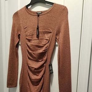 Long sleeved form fitting dress